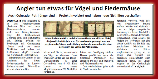 Fisch