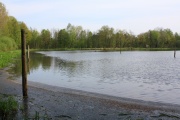 IMG_3707.JPG
