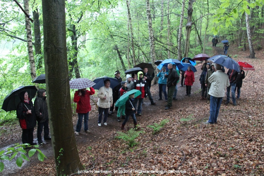 140501_fruehwanderung_ostrittrum_09.JPG