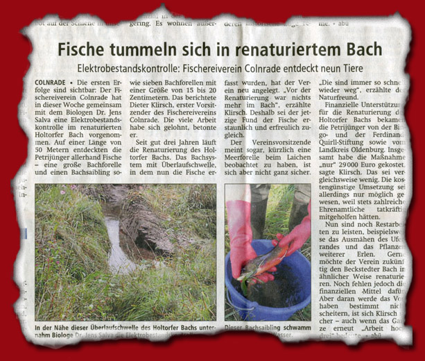 Fischereiverein Colnrade Bestandskontrolle im Holtorfer Bach